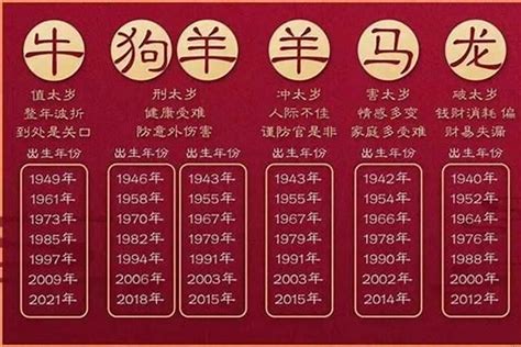 2003 年生肖|2003年属什么生肖属相 2003年出生的人属什么